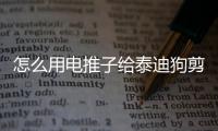 怎么用電推子給泰迪狗剪毛？泰迪狗電推子怎么用