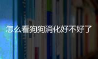 怎么看狗狗消化好不好了？怎么看狗狗是不是胃脹氣