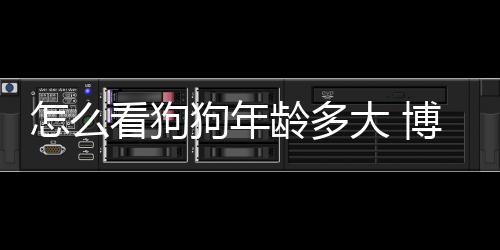 怎么看狗狗年齡多大 博美？怎么看博美幾歲了