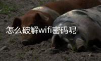 怎么破解wifi密碼呢除了用萬能鑰匙