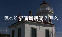 怎么給貓清耳螨呢？怎么給貓清耳螨最有效