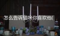 怎么告訴貓咪你喜歡他(貓咪喜歡怎么摸他)