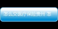 怎么交醫療保險貴州 怎么交醫療保險2024