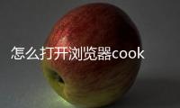 怎么打開瀏覽器cookies，怎么打開瀏覽器Cookie