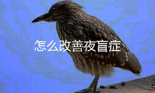 怎么改善夜盲癥