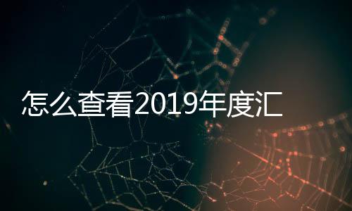 怎么查看2019年度匯算退稅進度