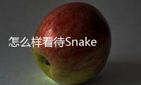 怎么樣看待Snake 拿下絕地求生小組賽第一卻遭噴的事情？