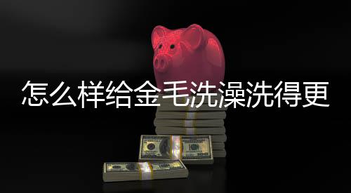 怎么樣給金毛洗澡洗得更干凈？怎么樣給金毛洗澡呢