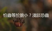 怕蟲等於膽小？淺談恐蟲癥