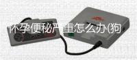 懷孕便秘嚴重怎么辦(狗狗懷孕后期便秘怎么辦)