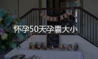 懷孕50天孕囊大小