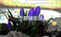 戀愛輔助器