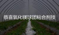 恭喜氧化鎂球團粘合劑技術突破投入市場無煙無味代替淀粉