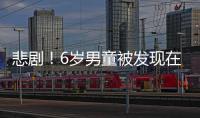 悲劇！6歲男童被發現在奧迪后備箱內死亡