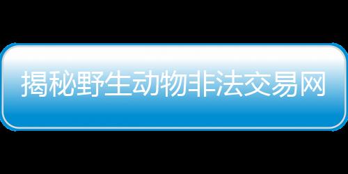 揭秘野生動物非法交易網 食野味陋習能否絕跡？