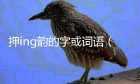 押ing韻的字或詞語（押ing韻的字有哪些）