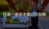 投資一家茶未里奶茶有哪些支持