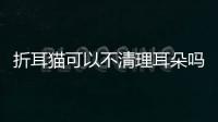 折耳貓可以不清理耳朵嗎視頻？折耳貓耳朵能不能掏