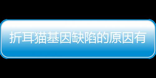 折耳貓基因缺陷的原因有哪些？折耳貓基因問題