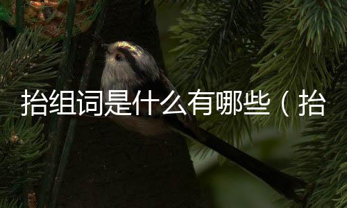 抬組詞是什么有哪些（抬組詞有哪些）