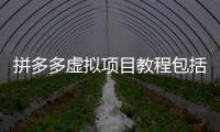 拼多多虛擬項目教程包括拼多多虛擬黑科技軟件的詳細情況