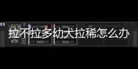 拉不拉多幼犬拉稀怎么辦6天了？拉不拉多幼犬拉稀怎么辦6個(gè)月