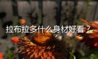 拉布拉多什么身材好看？拉布拉多身材比例