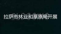 拉薩市林業和草原局開展主題黨日義務植樹活動