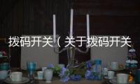 撥碼開關(guān)（關(guān)于撥碼開關(guān)的基本情況說明介紹）