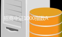 招商中證1000指數A重倉股安潔科技漲10%