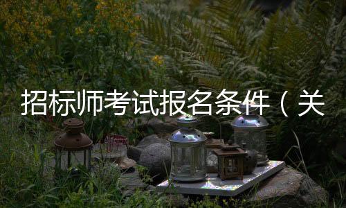 招標師考試報名條件（關(guān)于招標師考試報名條件的基本情況說明介紹）