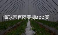 懂球帝官網亞搏app買球安全抖音足球