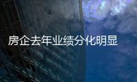 房企去年業績分化明顯 增“肌”減“重”成潮流