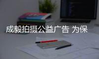 成毅拍攝公益廣告 為保護鯨鯊發聲