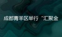 成都青羊區(qū)舉行“匯聚金融‘活水’ 賦能經(jīng)濟(jì)發(fā)展”主題沙龍