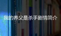 我的養(yǎng)父是殺手劇情簡(jiǎn)介