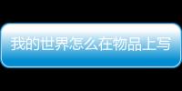 我的世界怎么在物品上寫字（我的世界怎么給物品打粗體字）