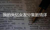 我的失憶女友分集劇情詳細(xì)介紹(1