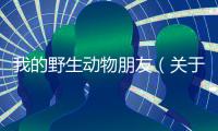 我的野生動物朋友（關(guān)于我的野生動物朋友的基本情況說明介紹）