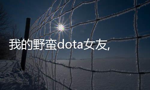 我的野蠻dota女友,我的野蠻Doa女友：游戲世界的獨特愛情故事