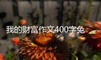 我的財富作文400字免費 我的財富作文400字