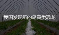 我國發現新的鳥翼類恐龍和侏羅紀陸相動物群—新聞—科學網