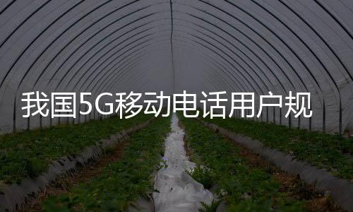 我國5G移動電話用戶規(guī)模達(dá)8.51億戶