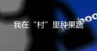 我在“村”里種果蔬