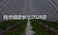 我市組團參加2024安徽“秸博會”_