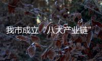 我市成立“八大產(chǎn)業(yè)鏈”助企法律服務(wù)團(tuán)  _