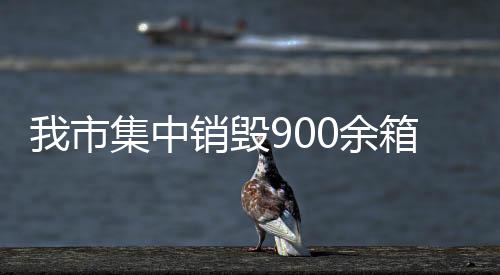 我市集中銷毀900余箱侵權白酒_