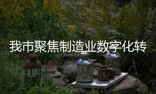 我市聚焦制造業(yè)數(shù)字化轉(zhuǎn)型激發(fā)工業(yè)投資活力