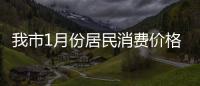 我市1月份居民消費價格指數(shù)同比下降0.8%_