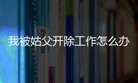 我被姑父開除工作怎么辦知乎（我被姑父開除工作怎么辦）